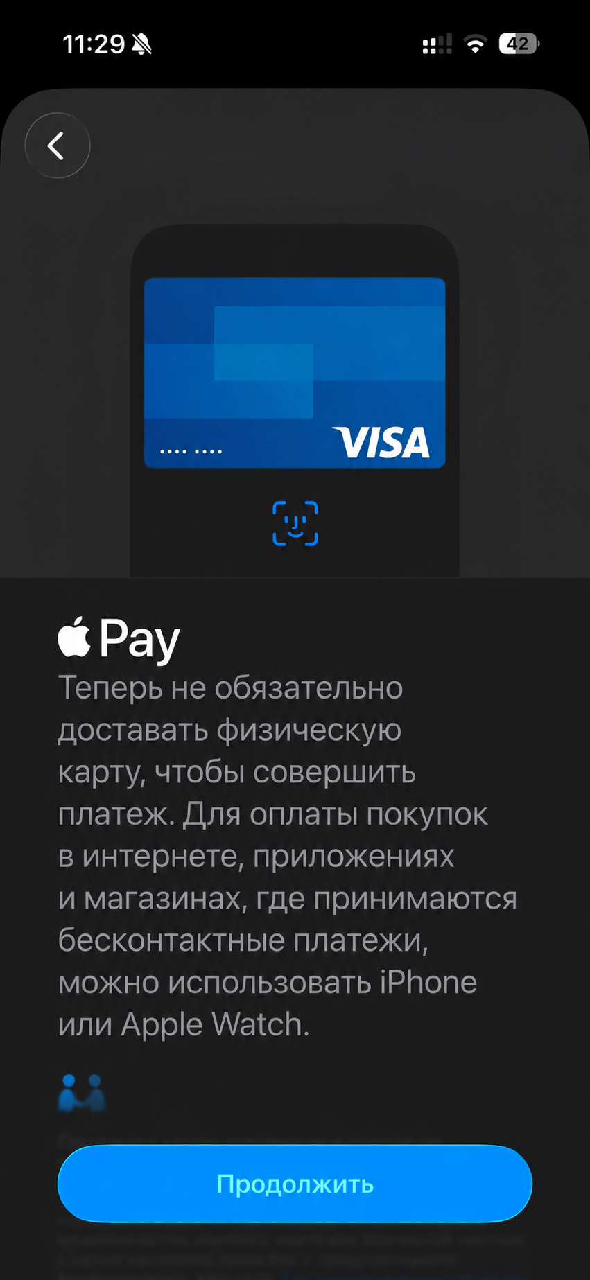 Вводный экран Apple Pay с кнопкой Продолжить