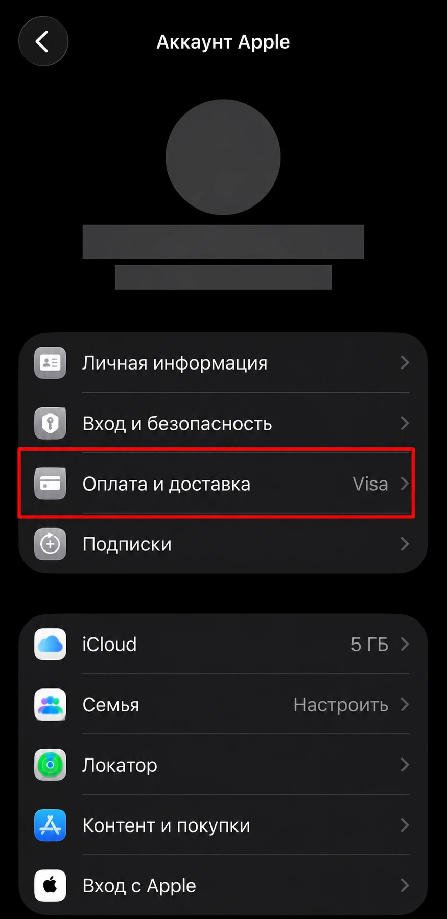 Пункт Оплата и доставка в настройках Аккаунта Apple